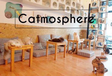 Catmosphere