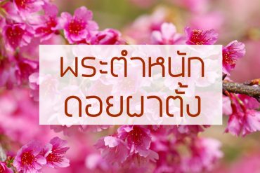 พระตำหนัก-ดอยผาตั้ง