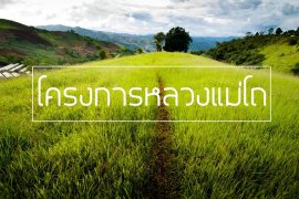 โครงการหลวง-แม่โถ