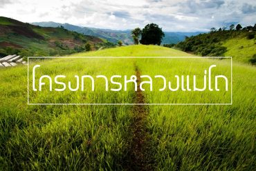 โครงการหลวง-แม่โถ