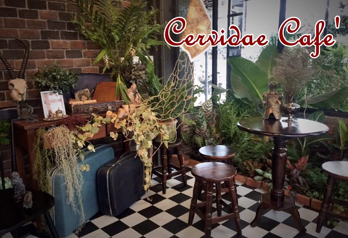 Cervidae Cafe'2