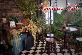 Cervidae Cafe'2