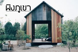 พิงภูเขา
