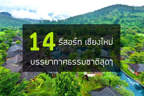 14 รีสอร์ท เชียงใหม่ ที่พักบนดอย วิวสวย ทะเลหมอก【อัปเดต 2023】