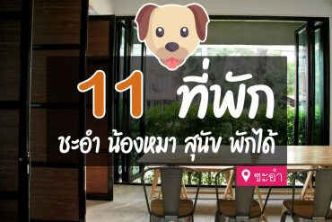 โรงแรม ที่พักชะอำ สุนัขพักได้